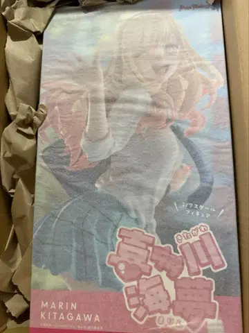 키타가와 마린 피규어