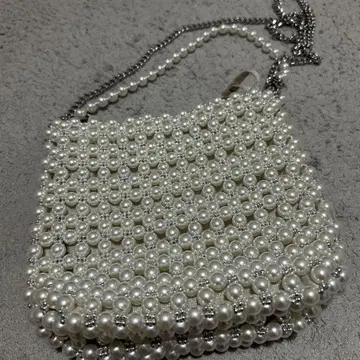 ZARA 펄풍 비즈 숄더백