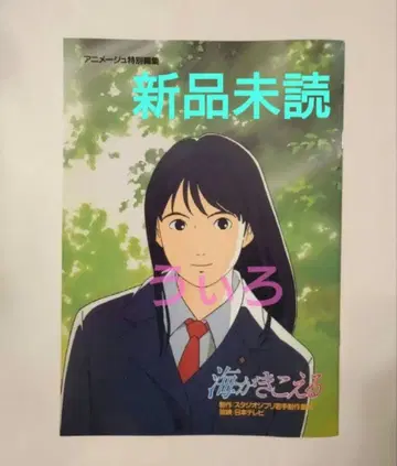 바다가 들린다 복각 팜플렛 지브리 새상품 미개봉 바다가 들린다