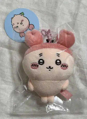 치이카와 쫀득 마스코트 헌책방 카니짱