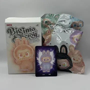 [정품] labubu 라부부 Biginto Energy LUCK
