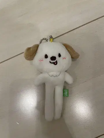 RIIZE WE LITTLE RIIZE 앤톤 몽룡이 발길이