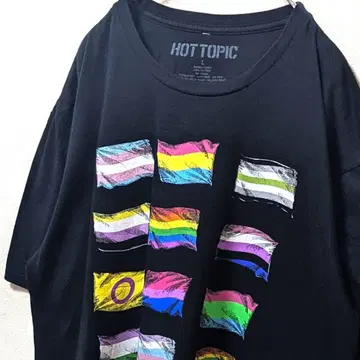 핫토픽 국기 빅 로고 T셔츠 블랙 L 구제 의류