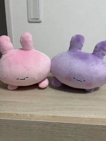 아사미미짱 암 쿠션