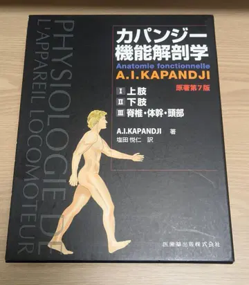 카판지 기능 해부학