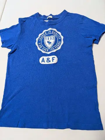Abercrombie & Fitch 머슬핏 티셔츠 S