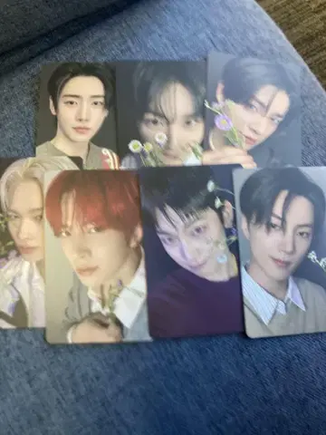 ENHYPEN 새벽 타워레코드 럭드 7종 컴프 2