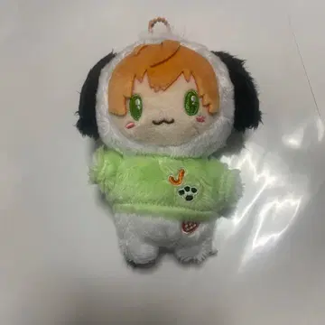 산리오 콜라보 봉제 인형 스토푸리 젤군 x 포차코