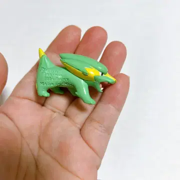 몬코레 라크라이