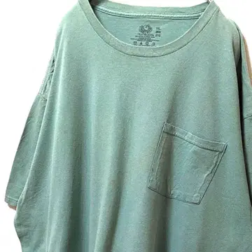프룻 오브 더 룸 무지 티셔츠 톤 다운 그린 녹색 2XL 구제 의류