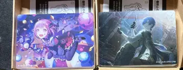 프로세카 오오토리 에무 KAITO 노블 아트 세트