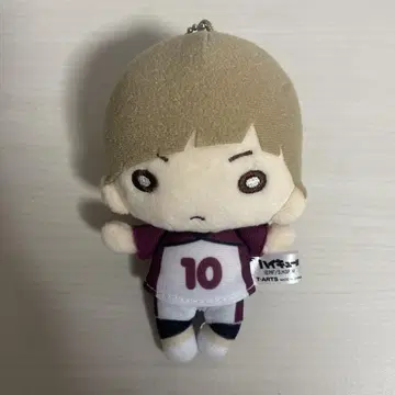하이큐 시라부 켄지로 니토탄 봉제 인형