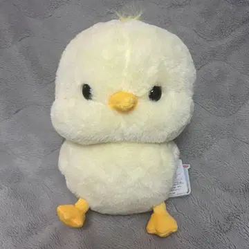 병아리 타마피요 베이비 타마짱 점보 봉제인형 새상품 베이비 새 전시회