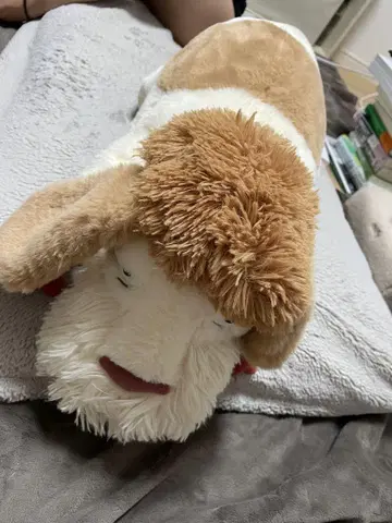 힌 봉제 인형