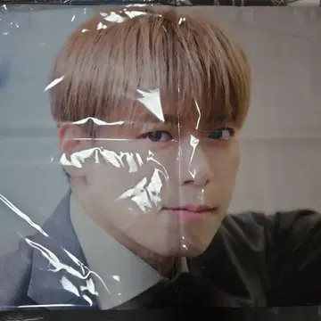 카노 요시유키 패브릭 포스터