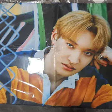 와타나베 렌 패브릭 포스터