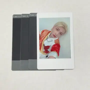 팬더 드래곤 요우타 하피카