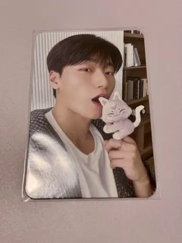ATEEZ aniteez 포토카드 홀더 트레이딩 카드만