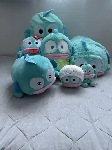 산리오 한교동 봉제 인형 모음