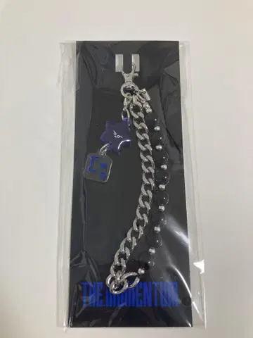 THE MOMENTUM FANLIGHT 스트랩 도영