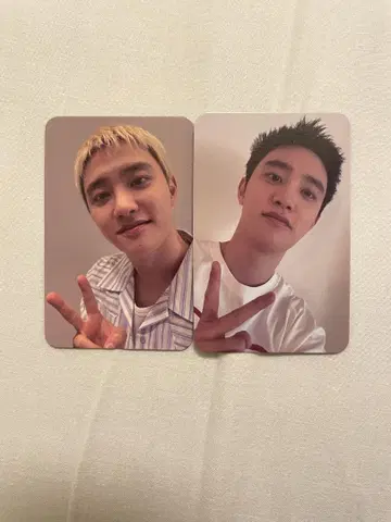 당일 발송 도경수 트레이딩 카드 musicplant 특전
