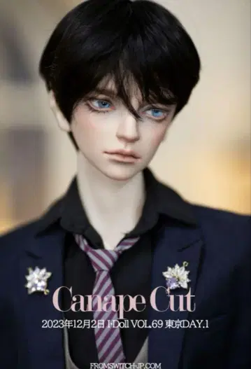 Switch Canape Cut 가발 미드나잇 블랙