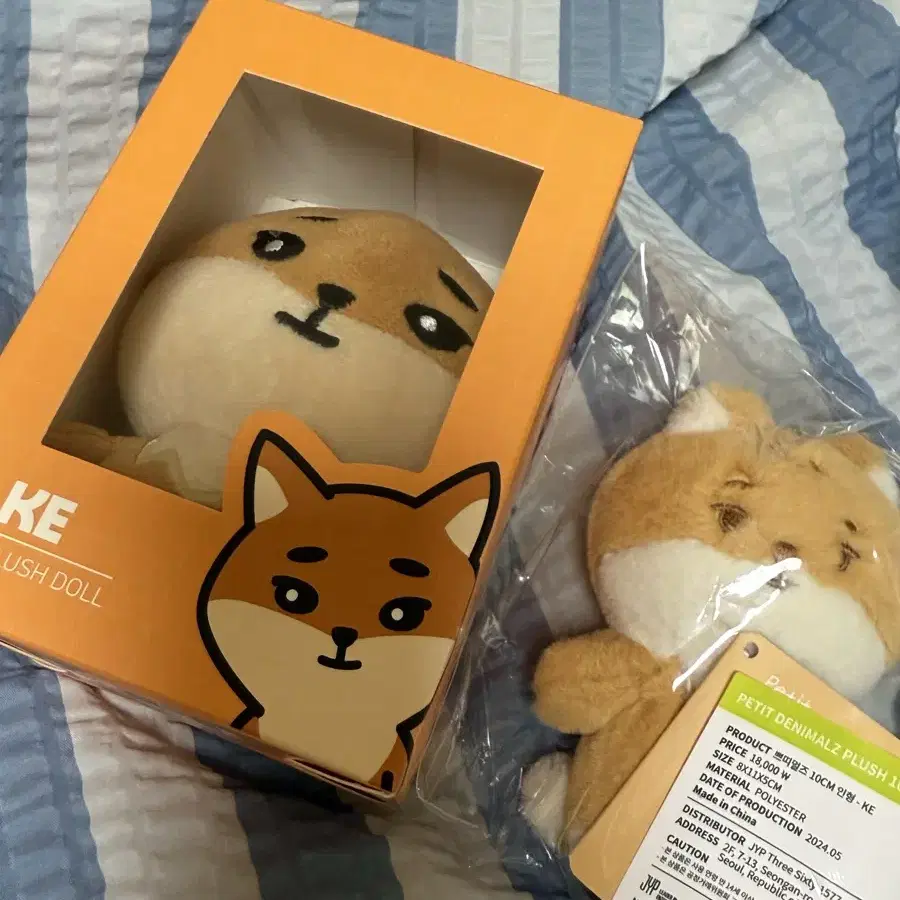 DAY6 | 데이식스 DAY6 Young K Denimalz 20 K + Petitmalz K on