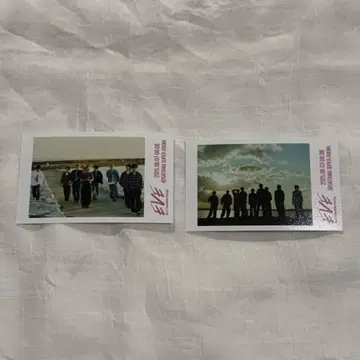 초특급 미니 사진 단체 EVE 사이타마