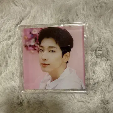 SEVENTEEN ALWAYS YOURS 아크릴 코스터 원우
