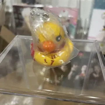 조조조 오리 A상