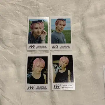 초특급 슈야 미니 사진 컴프