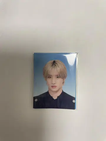 마츠이 토시키 증명사진