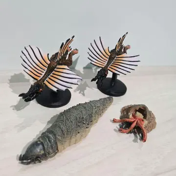 트레머스 그라보이드 가챠
