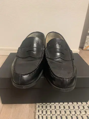 Kenford 로퍼 페이즐리
