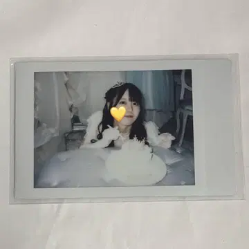 후쿠마루 우사 생탄 랜덤 폴라로이드 2024