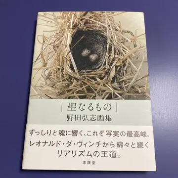 성스러운 것 노다 히로시 화집