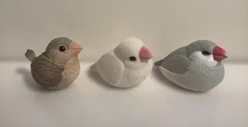 손바닥 프렌즈 문조 3종