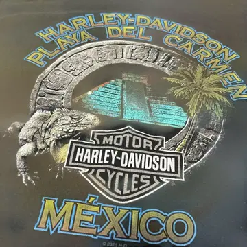 HARLEY DAVIDSON 티셔츠 블랙