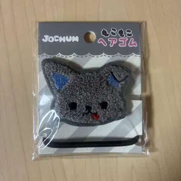 JOCHUM 피하이