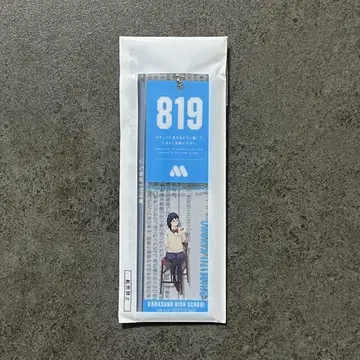 모스버거 하이큐 썸머 럭키 백 대기표풍 참 시미즈 키요코