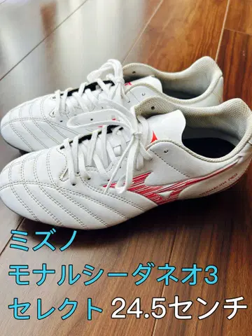 미즈노 모나르시다 네오 3 셀렉 24.5cm