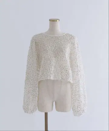 EN NUEME Ruffle Volume Sleeve Blouse