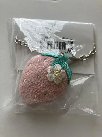 새상품 미사용 페일러 라브라리 스트로베리 참