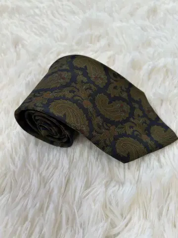 Ermenegildo Zegna 페이즐리 무늬 넥타이