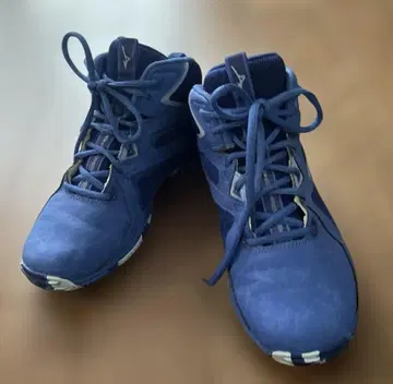 미즈노 Mizuno 웹 다이버즈 신발 24cm