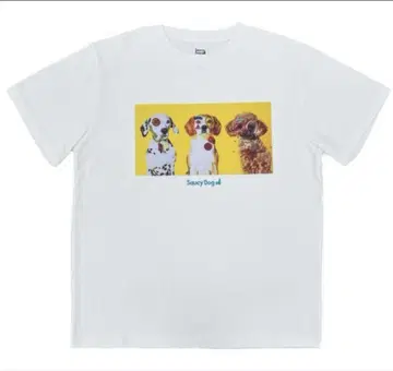 saucy dog 사우시 T셔츠 화이트 2025 이시하라 신야 M사이즈