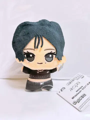 aespa SD 인형 봉제 인형 윈터