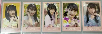 =LOVE 이코러브 사이토 키아라 미니 포토 vol.1 컴플