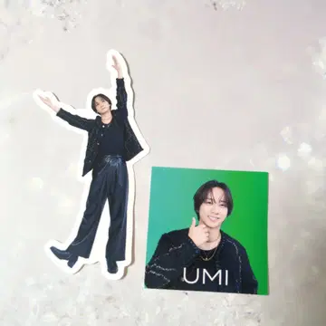 나카무라 카이토 *World Tour VIIsual* 스티커