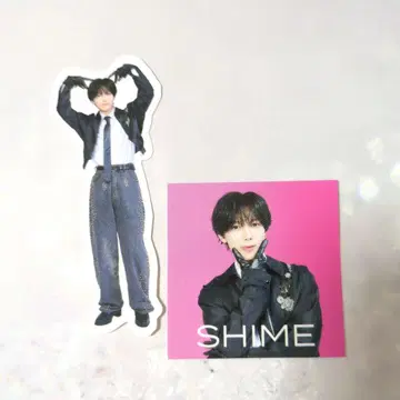 시메카케 류야*World Tour VIIsual* 스티커
